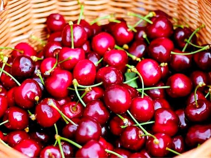 Как закрыть вишню с косточками на зиму