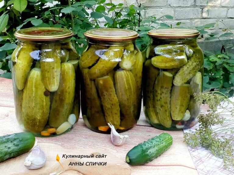 Лучшие рецепты консервирования