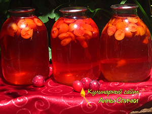 Компот из алычи Компот из алычи