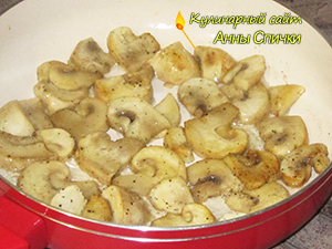 Грибы Грибы